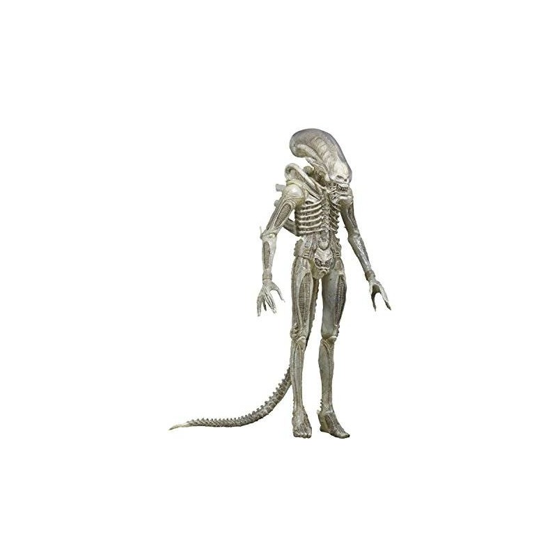 Xenomorph (Translucent prototype suit) Alien NECA figura 18 cm