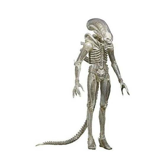 Xenomorph (Translucent prototype suit) Alien NECA figura 18 cm