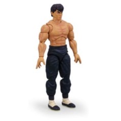 Fei Long Ultra Stret Fighter II:the Final Challengers figura 15 cm